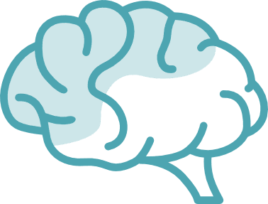 Simple blue line drawing of a human brain, showing the left and right hemispheres with basic curves and folds, representing affordable health care on a transparent background.